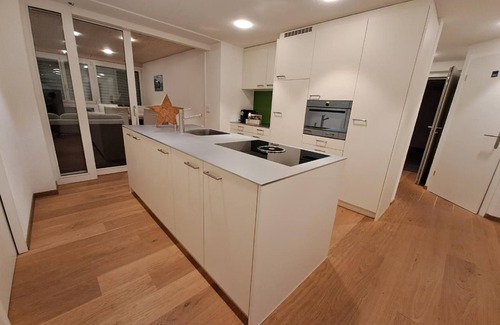 Attinghausen Apartamento | Apartamento de vacaciones Attinghausen para 1 - 5 personas con 3 dormitorios - Apartamento