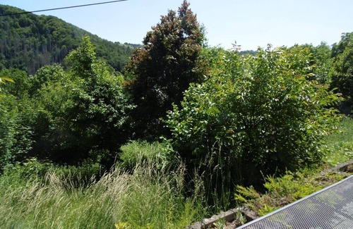 Waldbreitbach Apartamento | Apartamento de vacaciones Waldbreitbach para 1 - 4 personas con 1 dormitorio - Apartamento
