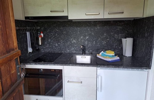 Fiesch Apartamento | Apartamento de vacaciones Fiesch para 1 - 4 personas con 1 dormitorio - Apartamento