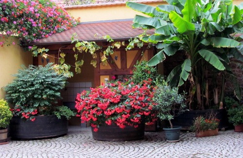 Itterswiller Casa | Apartamento de vacaciones Itterswiller para 1 - 6 personas con 3 dormitorios - Casa de vacaciones