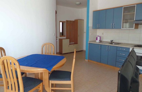 Ribarica Apartamento | Holiday apartment with use of pool