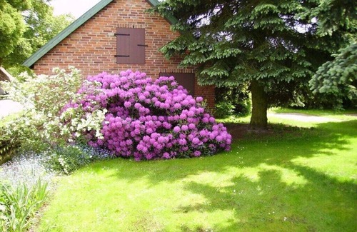Nahrendorf Casa | Holiday apartment in Nahrendorf with barbecue