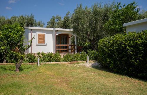 Mattinata Casa | Holiday Apartment orchidea with swimming pool and private beach -3