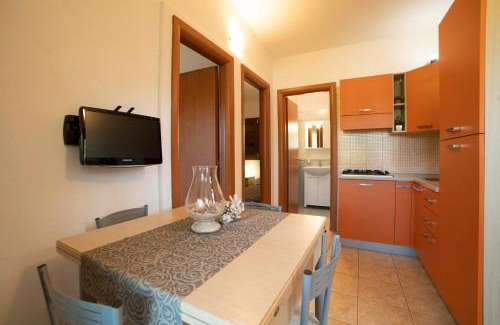 Mattinata Casa | Holiday Apartment orchidea with swimming pool and private beach -3
