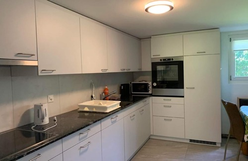 Vitznau Otro | Apartamento de vacaciones Vitznau para 1 - 5 personas con 2 dormitorios - Casa rural