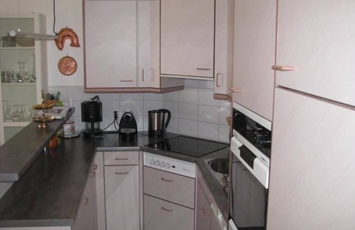 Wilderswil Apartamento | Apartamento de vacaciones Wilderswil para 1 - 2 personas con 1 dormitorio - Apartamento en casa unif