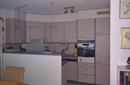 Wilderswil Apartamento | Apartamento de vacaciones Wilderswil para 1 - 2 personas con 1 dormitorio - Apartamento en casa unif