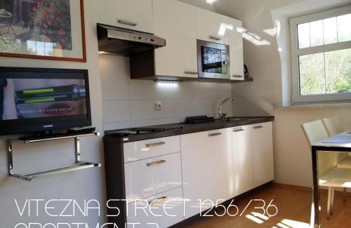 Karlovy Vary Apartamento | Holiday Apartments Vítězná 1256/36
