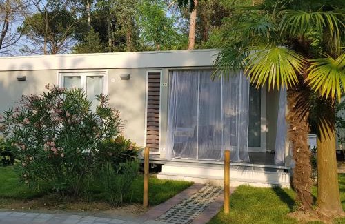 Ca' Savio Otro | Holiday Center Valdor