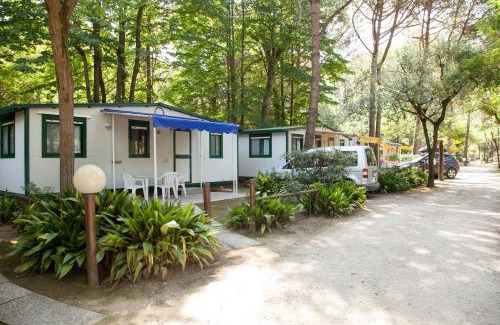 Ca' Savio Otro | Holiday Center Valdor