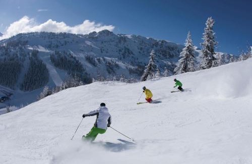 Burgstall Apartamento | Holiday flat near four ski lifts in Mayrhofen