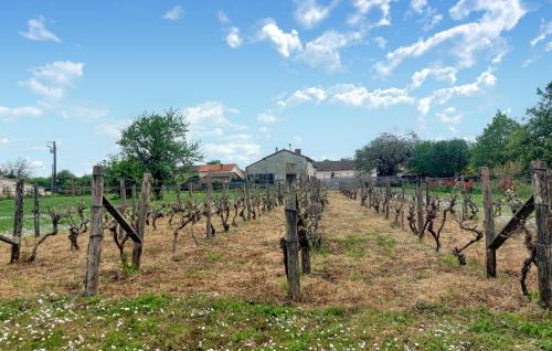 Savigne Casa | Holiday Gite On A Vineyard