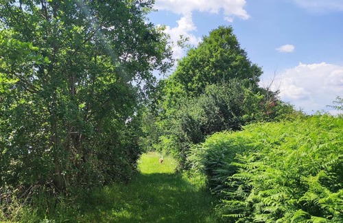 Couze-et-Saint-Front Casa | Holiday Home 'La Roulotte Couzote' with Private Terrace and Private Garden