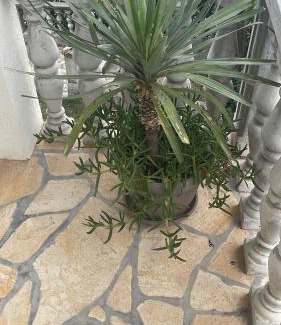Bibinje Apartamento | Holiday Home 1