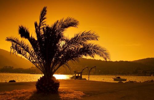 Cove Rogacic Casa | Holiday Home (139-3)