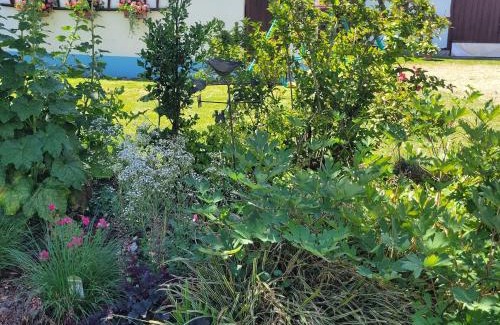 Schleithal Casa | Holiday Home Alsace near Vosges Nature Park