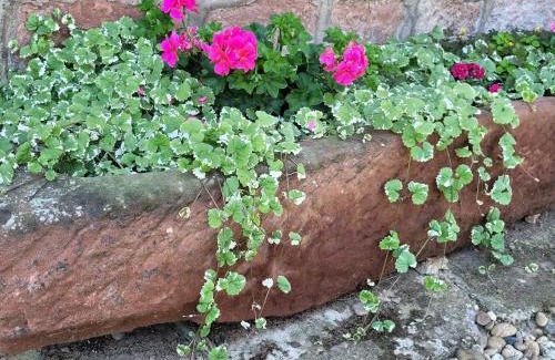 Schleithal Casa | Holiday Home Alsace near Vosges Nature Park