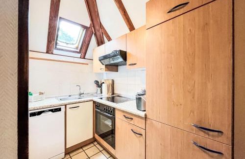 Feriendorf Frankenau Casa | Holiday Home Am Sternberg 105 by Interhome
