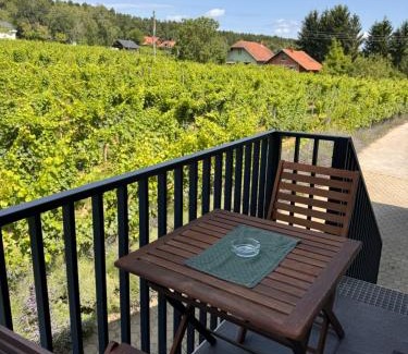 Moravske Toplice Apartamento | Holiday home Ana