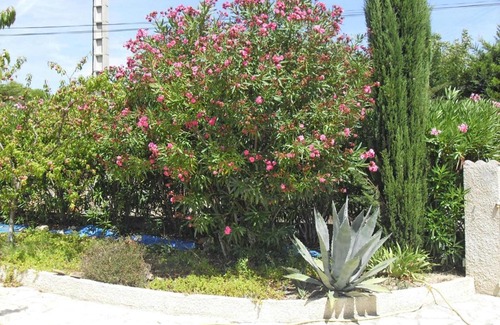 Argeliers Casa | Holiday Home Argeliers - LDR031003-F