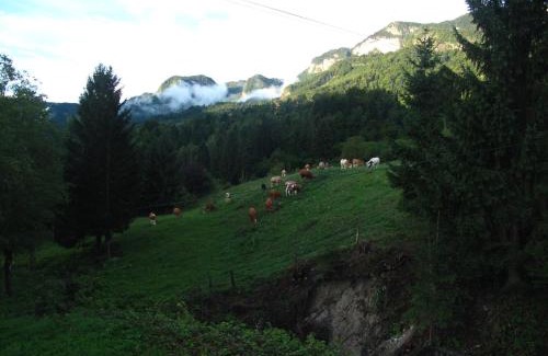 Bohinjska Bela Casa | Holiday Home Bela