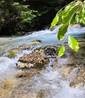 Bovec Casa | Holiday home by the emerald river