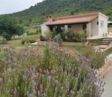 Cove Rogacic Casa | Holiday Home Cvitka