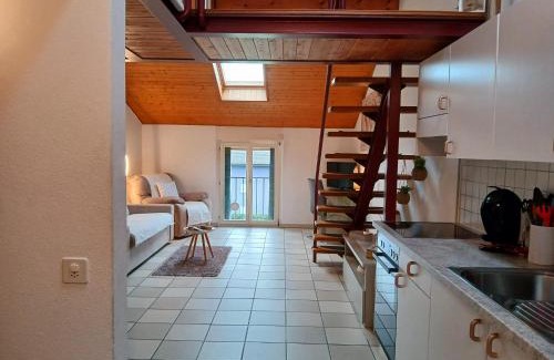 Quartino Apartamento | Holiday Home Dragonfly