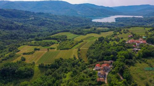 Kircija Casa | Holiday Home Grimalda