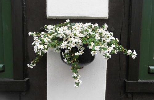 Bodenwerder Casa | Holiday home half-timbered house Bodenwerder