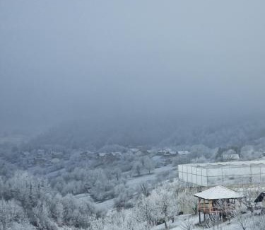 Gornja Stubica Casa | Holiday home Hižica v plavem trnacu