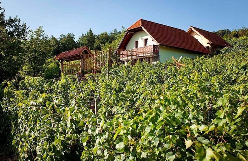 Trska Gora Casa | Casa vacacional en el viñedo