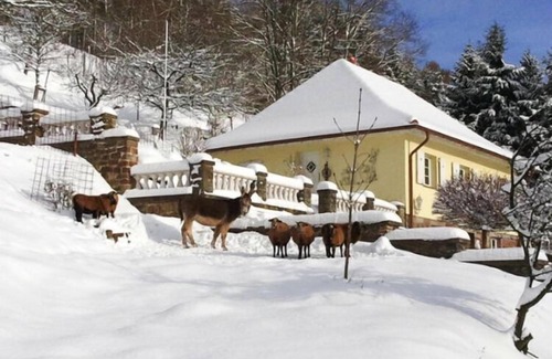Losheim am See Casa | Holiday home in Losheim am See