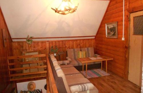 Dolni Dvur Casa | Holiday home in Dolni Dvur 2374