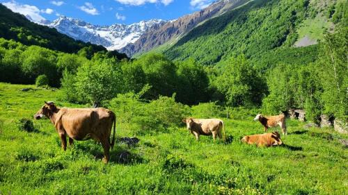 Imereti Casa | Holiday home in Racha
