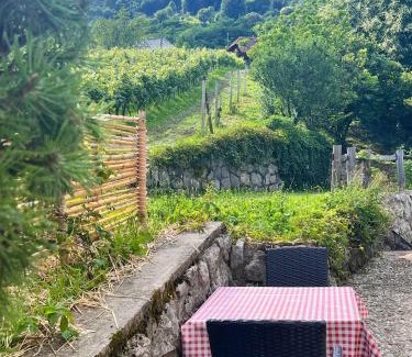 Semic Casa | Holiday home in Semic - Kranjska (Krain) 51757
