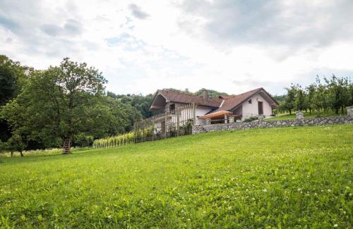 Gorenja Vas pri Smarjeti Casa | Holiday home in Smarjeske Toplice Kranjska Krain 42904