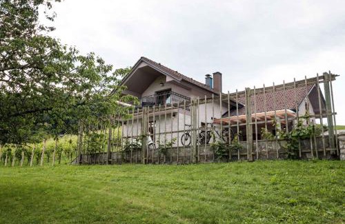 Gorenja Vas pri Smarjeti Casa | Holiday home in Smarjeske Toplice Kranjska Krain 42904