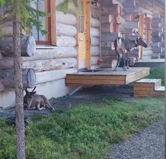Akaslompolo Apartamento | Holiday Home Lumikieppi