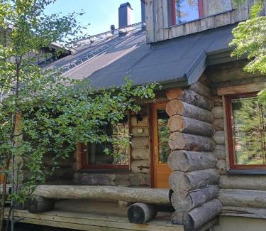 Akaslompolo Apartamento | Holiday Home Lumikieppi
