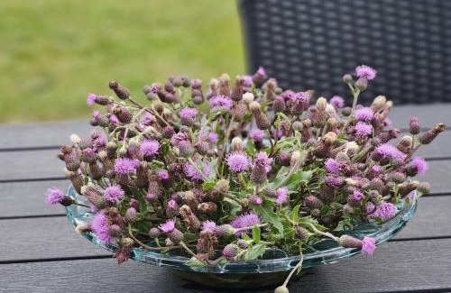 Ringkøbing-Skjern Municipality Casa | Holiday Home Matthis - 500m to the inlet by Interhome