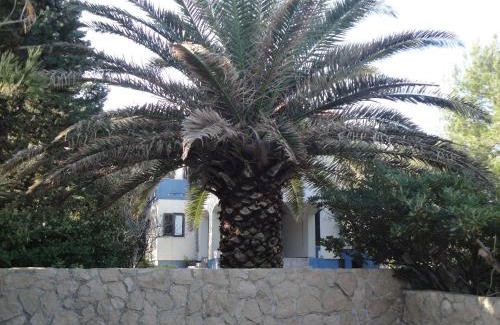 Susica Casa | Holiday Home Mirna