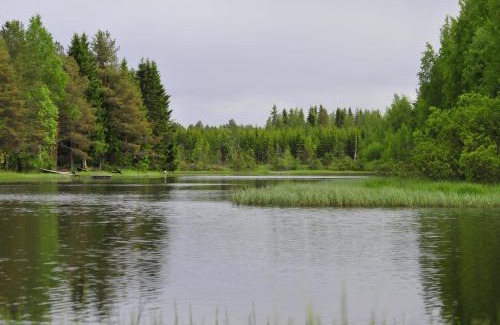 Kajaani Apartamento | Holiday Home Nelli