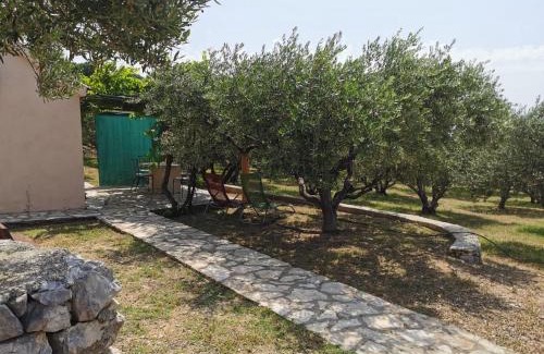 Bol Casa | Holiday home Oliva cottage