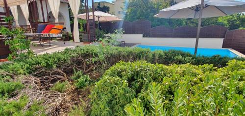 Gradac Casa | Holiday home Olive