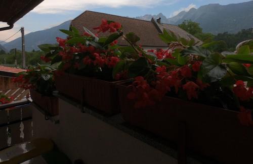 Cezsoca Casa | Holiday Home Over The River