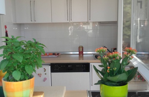 Supetar Casa | Holiday Home Pavarotti