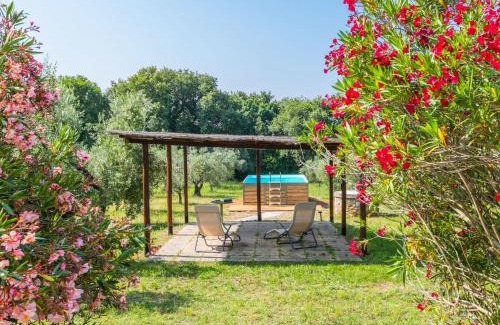 Bibbona Casa | Holiday Home Rustico by Interhome