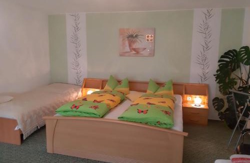 Oberes Geratal Casa | Holiday Home Schneider by Interhome
