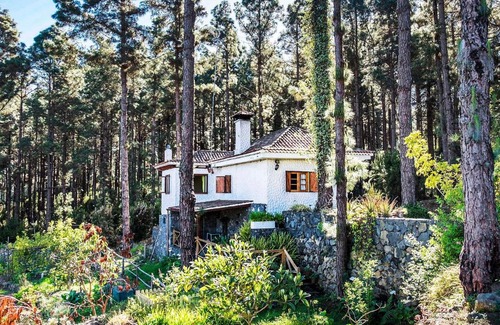 Icod de los Vinos Casa | Holiday Home Sendero floral